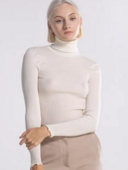 Pull col roulé basique Automne-Hiver