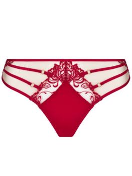 String Collection Eblouissant Eros 